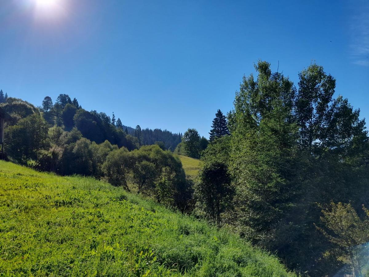 Шпінь 2 Villa Vorokhta Bagian luar foto